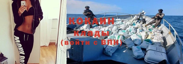мет Ельня