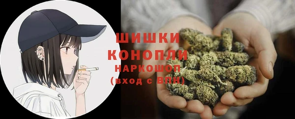 мет Ельня