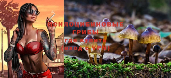 гашиш Елизово