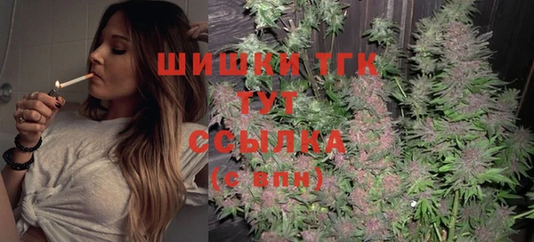 ешки Елабуга