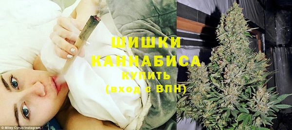 мет Ельня