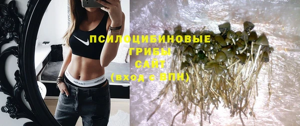 мет Ельня