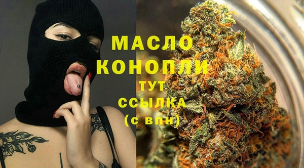 мет Ельня