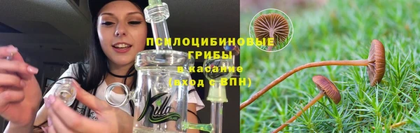 мет Ельня