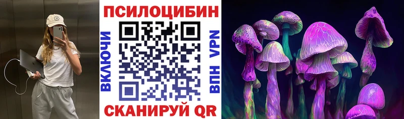 Псилоцибиновые грибы ЛСД  Купить закладки  Закаменск 